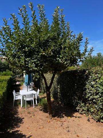 Residence Mare Bellu Agosta Plage Porticcio  Exterior foto